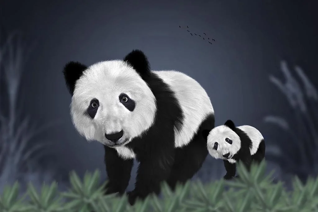 Google Panda Penalties - How to Recover and Improve Website Performance