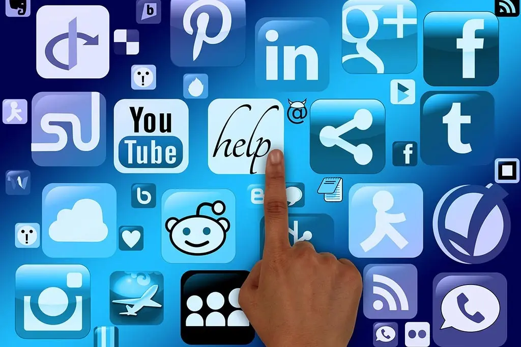 Google Penalty Types and Algorithm Updates